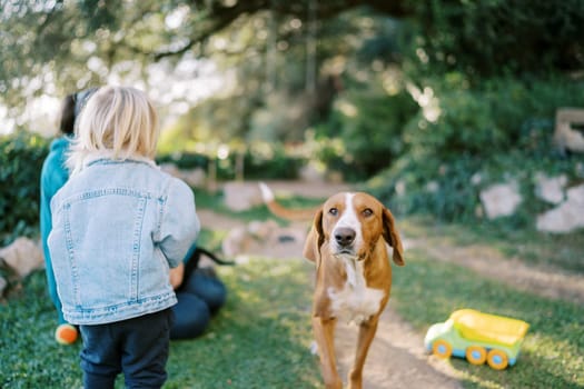 Large dog stands waving its tail on the lawn near a sitting mother and a little girl. High quality photo