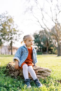 Little girl sits on a stump in a sunny meadow and looks thoughtfully into the distance. High quality photo