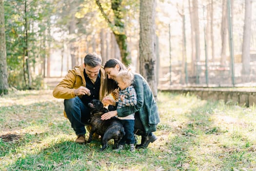 Dad and mom smiling petting a dog squatting in the park next to a little girl. High quality photo