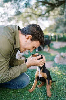 Smiling man leaning towards the puppy holding his head with his palms. High quality photo