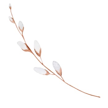 Willow branch watercolor drawing on a white background. Elegant illustration for the design of holiday cards and Easter invitations