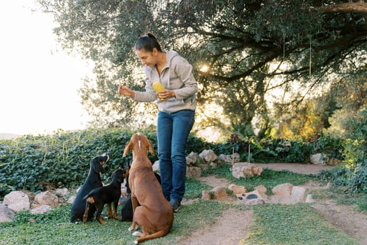 Young woman feeding dry food bag to dog and puppies in park. High quality photo