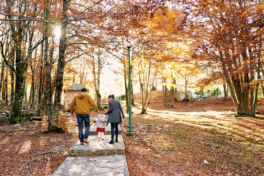 Mom and dad lead a little girl by the hands along the paved steps on a path in the park. Back view. High quality photo