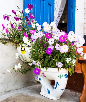 unusual planters. Toilets used to raise alpine plants.