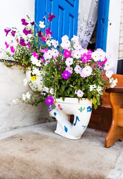 unusual planters. Toilets used to raise alpine plants.