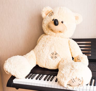 Teddy bear sitting on the piano keys or synthesizer