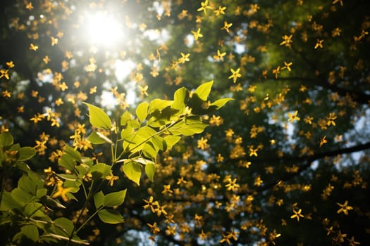 Small yellow flowers fly from above. Close-up of a green plant taken from ground level. Natural bokeh.