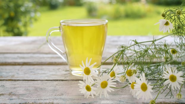 Close-up transparent cup of chamomile tea on the wooden table outdoors. A bouquet of daisies on the table. Herbal medicine concept.