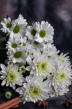 Bouquet of chrysanthemums. There are drops of water on the petals. On a dark concrete background. Copy space