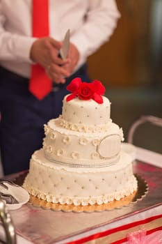 White Wedding Cake. wedding dessert at the reception