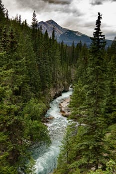 Narrow Maligne River Jasper National Park Alberta