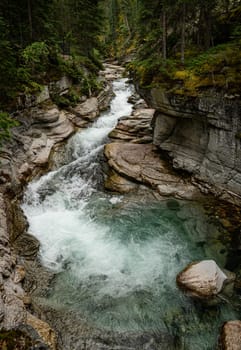 Maligne River Flows through Jasper National Park