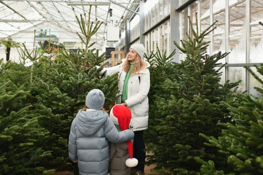 Mother and kids buying a Christmas tree at the market.