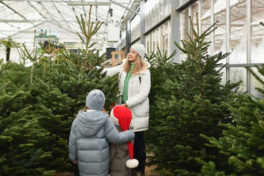Mother and kids buying a Christmas tree at the market.
