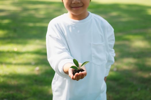 Promoting eco awareness on reforestation and long-term environmental sustainability with asian boy holding sprout. Nurturing greener nature for future generation with sustainable ecosystem. Gyre