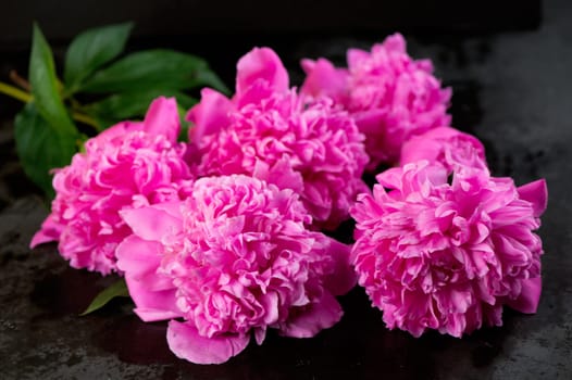 Pink floral background. Background bouquet of beautiful pink peonies. Blooming peony flowers, close-up. Wedding background, Valentine's day concept.