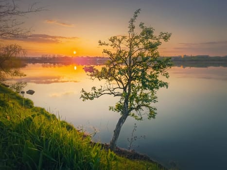 Sundown scene at the lake with a single tree on the shore. Vibrant sunset reflecting in the pond calm water. Idyllic spring landscape