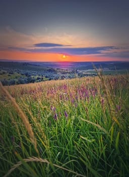 Summer sunset scene with a view over the green valley, vertical background
