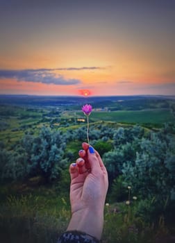 Young woman hand holding a gentle purple flower in front of the summer sunset sky background. Wild and free youth concept