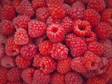 Ripe red raspberry texture background. Fresh and juicy fruits closeup