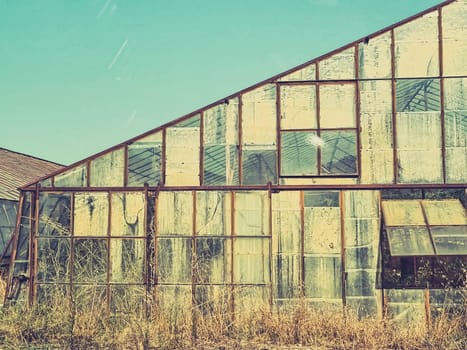 view of a broken, abandoned glass greenhouse. concept of problems and decline in the agricultural industry.