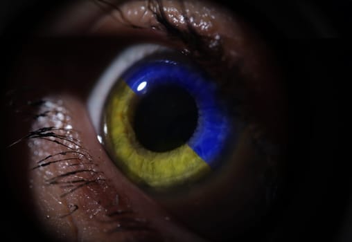 Female eye in blue and yellow iris color of Ukraine flag closeup. Assistance to Ukrainian refugees concept