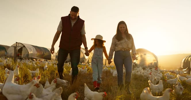 Agriculture, holding hands and chicken with family on farm for sustainability, environment and livestock industry. Sunset, nature and love with parents and child in countryside field for animals.