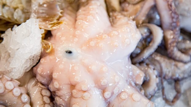 Top view of fresh polyp on a fishmonger's stall. Gourmet sea healthy food.