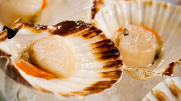 Top view of fresh scallops on a fishmonger's stall. Gourmet sea healthy food.