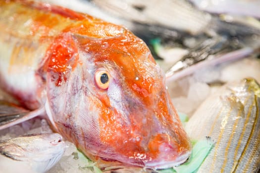 Top view of red fresh fish on a fishmonger's stall. Gourmet sea healthy food.