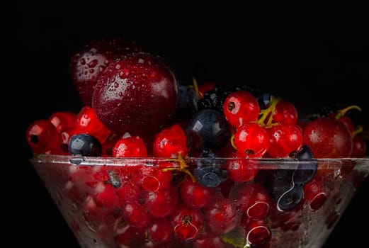 Beautiful red berries poured with water on a dark background close-up.