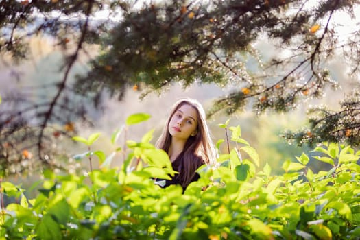 Beautiful girl in green foliage in the autumn park