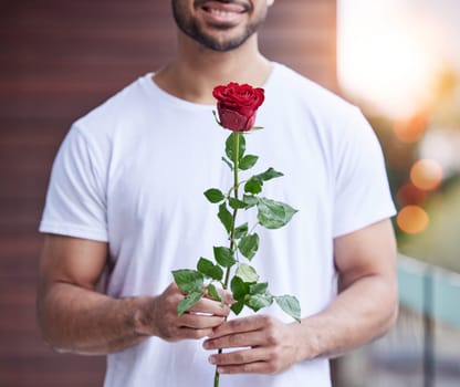 Love, hands and man with rose for date, romance and care for valentines day present, proposal or engagement. Romantic surprise, floral gift and person holding or giving flower outside with bokeh