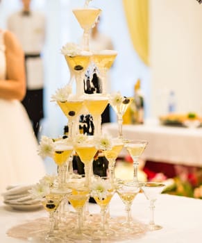 Celebration. Pyramid of champagne glasses. alcohol for a festive reception