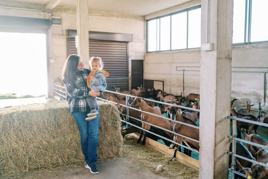 Herd of brown goats in a paddock look at a mother with a little girl in her arms standing by a haystack. High quality photo