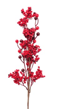 Decorative branch with red berries on a white background, Christmas decor