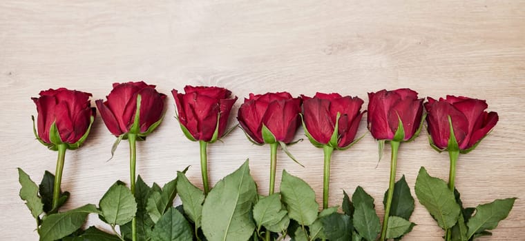 Background, row of flowers and roses in red color for valentines day, anniversary event and celebration of love. Closeup, banner and floral plants on table in line with mockup, space and decoration.