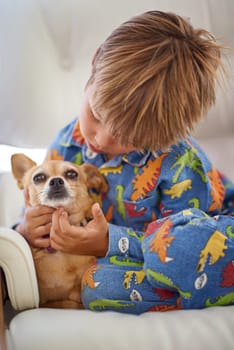 Growing together, loving together. A little boy petting his dog on the couch