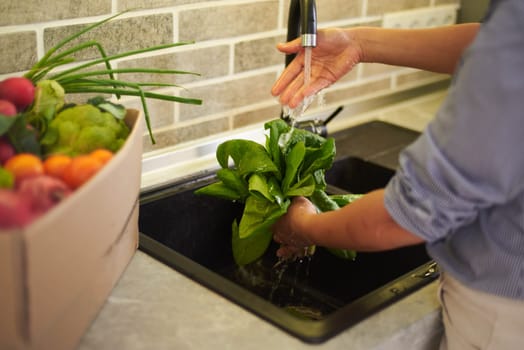 Close-up of hands of a housewife, unrecognizable woman standing by kitchen counter and washing fresh organic spinach leaves under flowing water in the kitchen sink. Sustainability. Healthy lifestyle