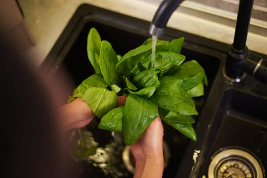 Healthy food, proper nutrition, slimming and dieting concept. Sustainable lifestyle. Organic food. Overhead view of woman washing fresh spinach leaves in the sink under flowing water. View from above