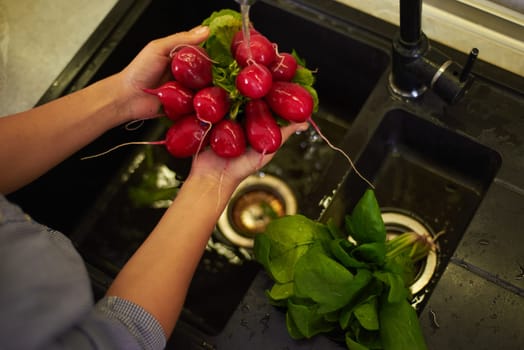 Overhead view of the hands of a housewife woman washing radish, veggies and greens in the kitchen at home, preparing healthy salad for dinner. Healthy food, proper nutrition and homemade food concept.