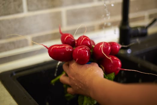 Details on the hands of unrecognizable woman housewife washing fresh organic radish leaves in kitchen sink, under flowing water. Dinner at home concept. Healthy eating and dieting concept. Close-up