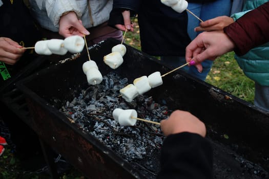 Photo marshmallows on skewers fried on the grill. Vacation with family in nature. Weekend.