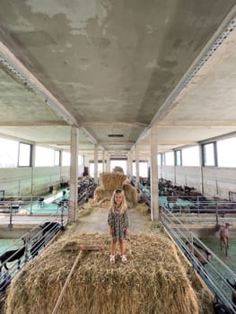 Little girl stands on a haystack next to goat pens on a ranch. High quality photo