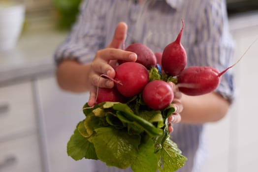 Closeup woman hands holding out at camera a bunch of fresh ripe organic radish. Selective focus. Healthy eating, vegetarianism, raw vegan diet and slimming concept. Sustainable lifestyle. Organic food