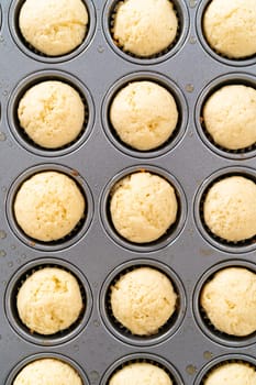 Cooling freshly baked American flag mini cupcakes on a kitchen counter.