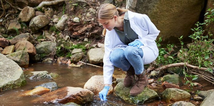 Forest, water and woman scientist test sample for research or inspection of the ecosystem and environment study. Science, sustainable and professional environmentalist doing carbon footprint exam.