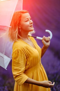 Woman lavender field. A middle-aged woman in a lavender field walks under an umbrella on a rainy day and enjoys aromatherapy. Aromatherapy concept, lavender oil, photo session in lavender.