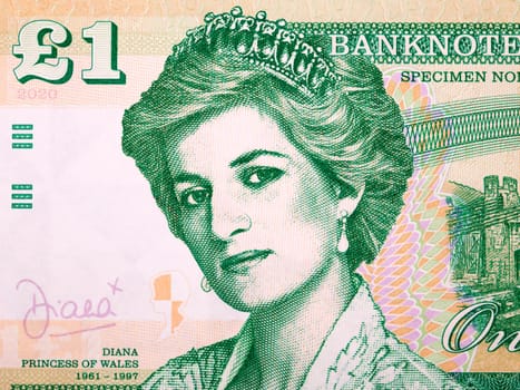 Princess Diana a portrait from money - pounds
