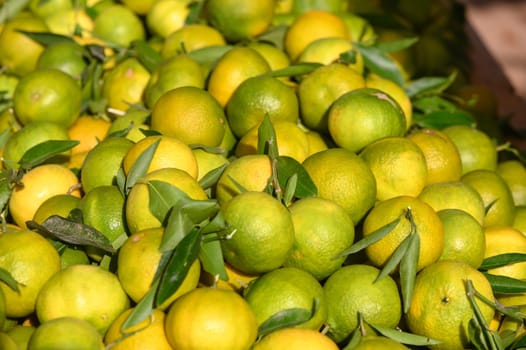 fresh appetizing tangerines at the bazaar on the island of Cyprus in autumn